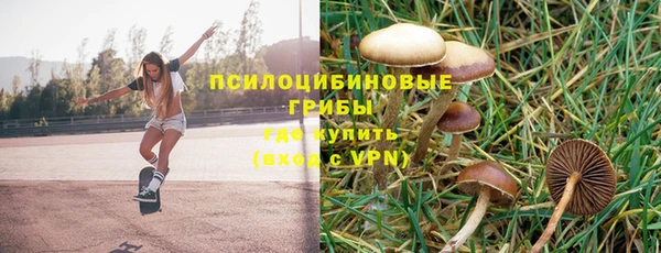 мет Баксан